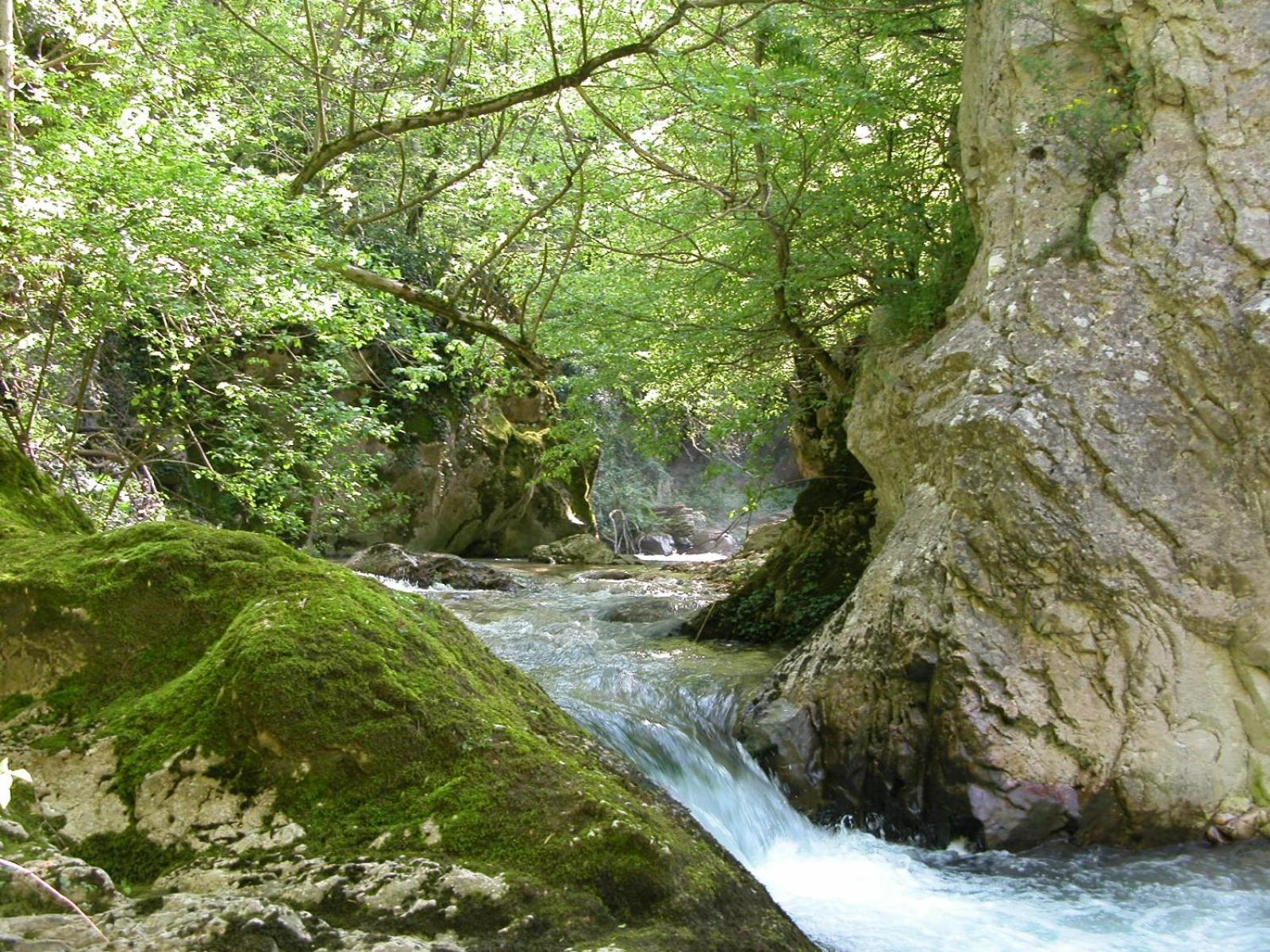 B&B Vivilmatese Roccamandolfi Exteriör bild